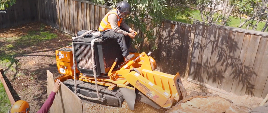 worker on stump grinding machine